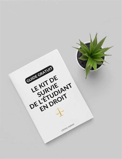 TD en fac de droit : 7 conseils pour les réussir .